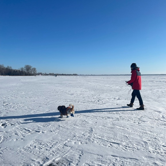 Meet your Posher, Tonee - Picture 1 of 1